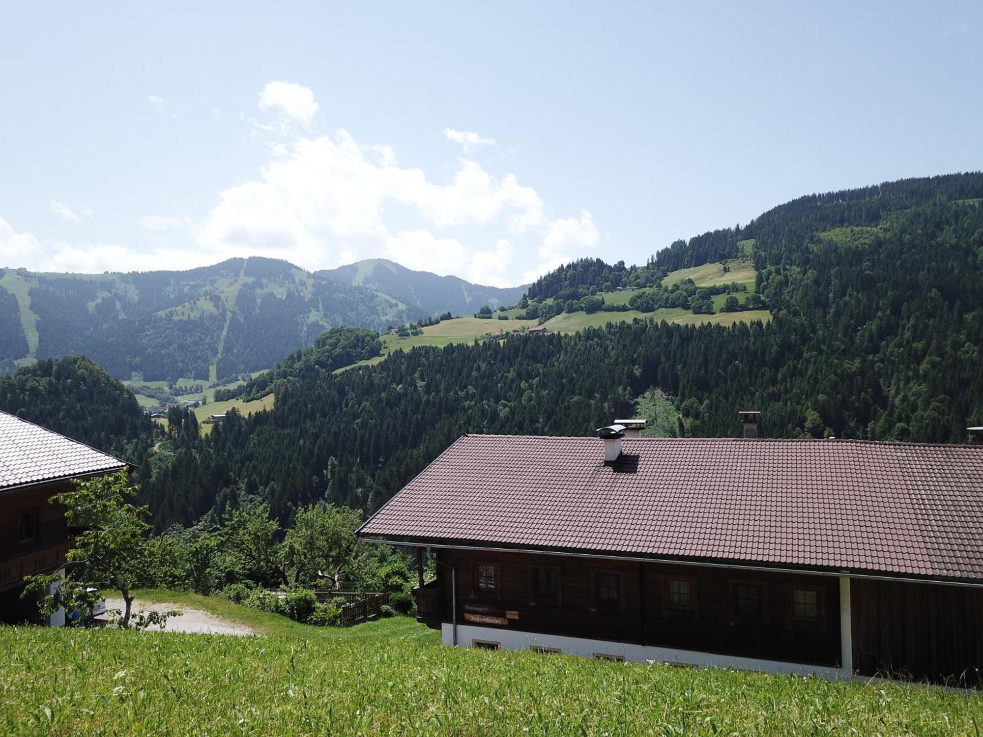 Wimmers Hundsegghof Wild001 Niederau Dış mekan fotoğraf