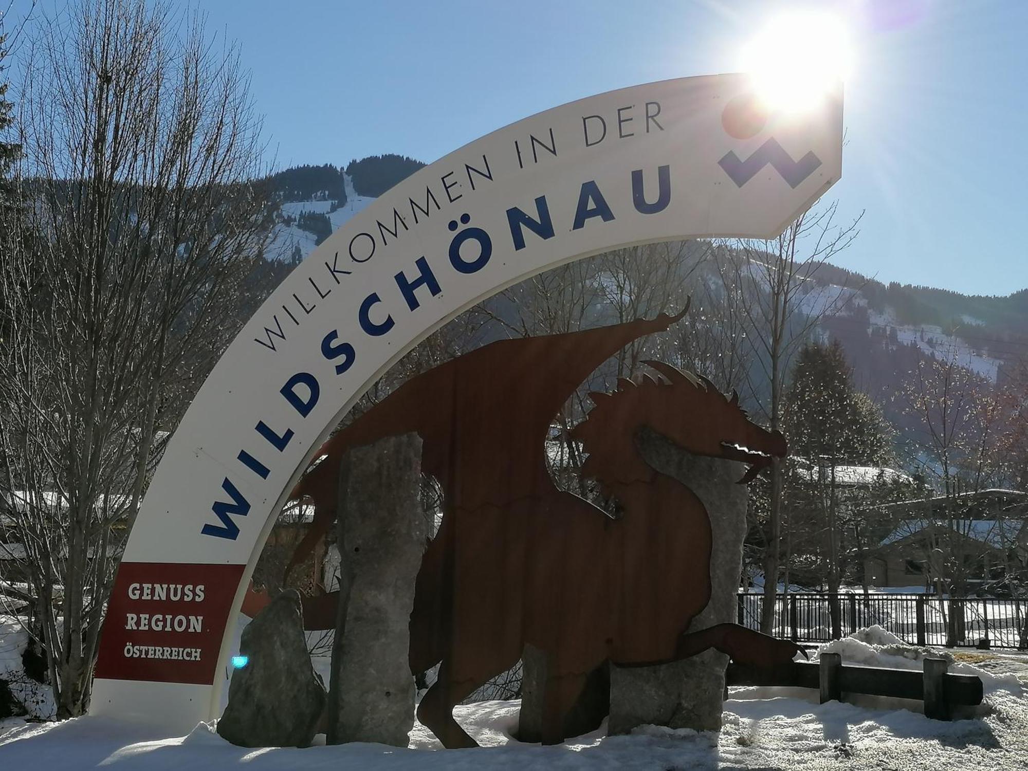 Wimmers Hundsegghof Wild001 Niederau Dış mekan fotoğraf