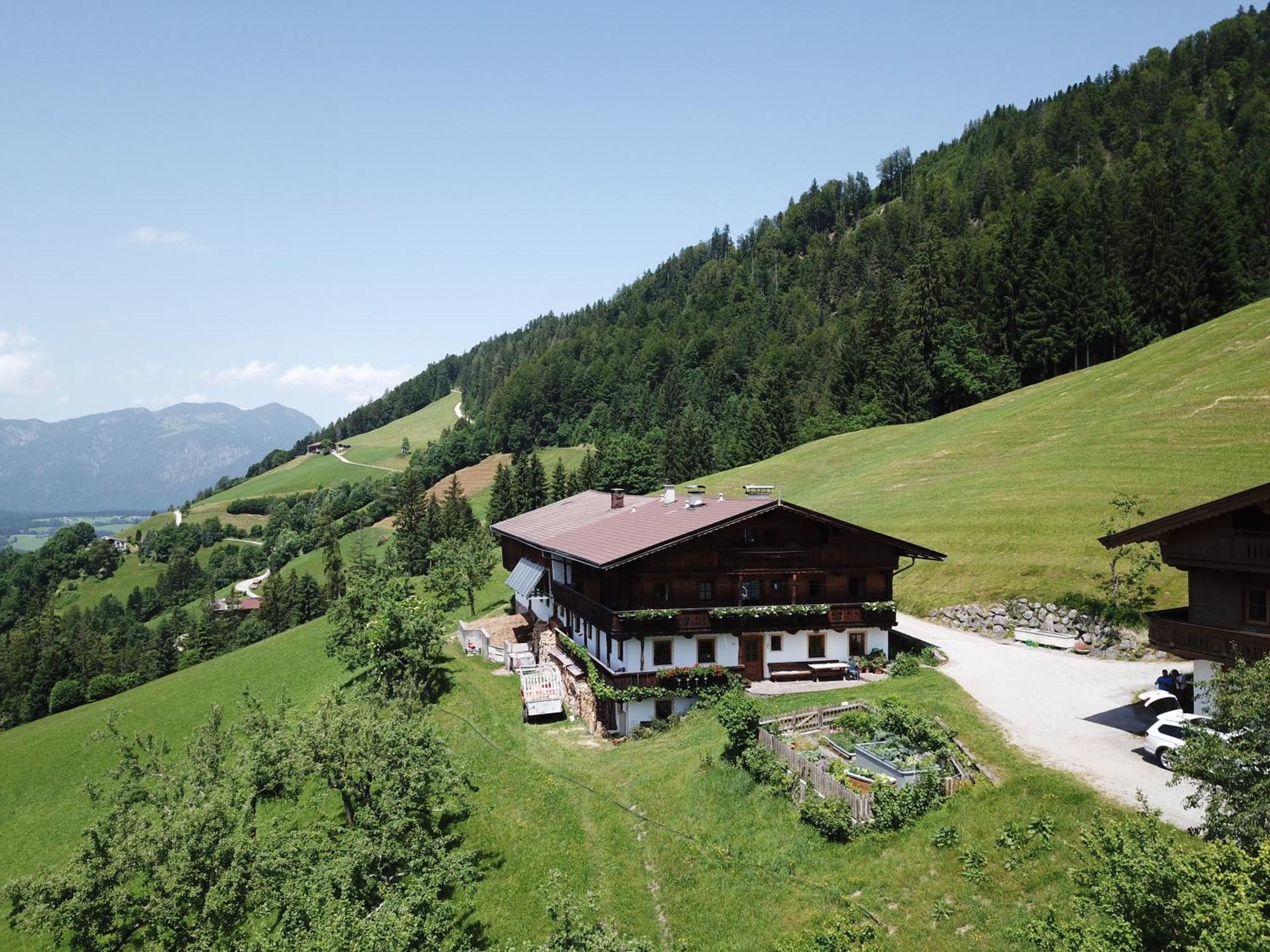 Wimmers Hundsegghof Wild001 Niederau Dış mekan fotoğraf